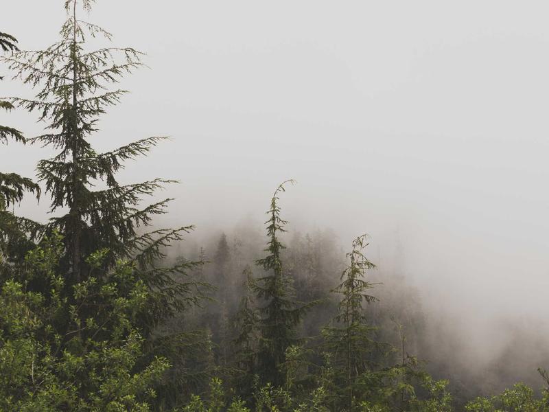 Rwanda landscape