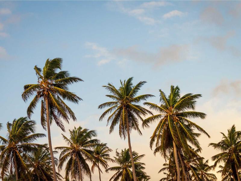 São Tomé and Príncipe landscape